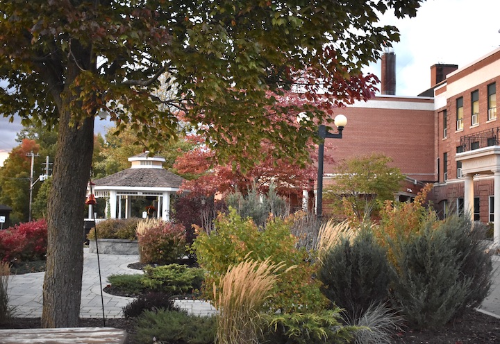 Outdoor healing garden in summer